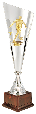 Trofeo Victory In Oro e Argento