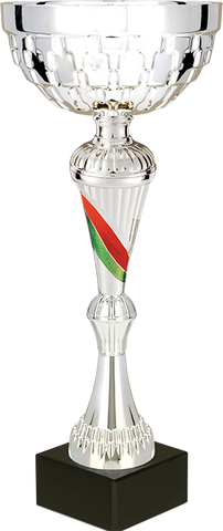 Coppa Premium Argento Con Strisce Colorate